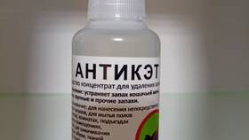 Чем вывести кошачью мочу: эффективные методы в Декатлон