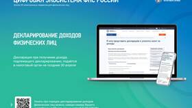 Что контролирует Федеральная налоговая служба (ФНС)