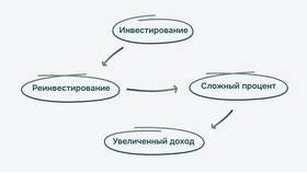 Что такое инвестиционный доход в накопительном страховании в Декатлон