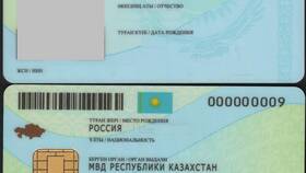 Что значат цифры в паспорте в Декатлон