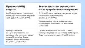 ИП без дохода: какие платежи обязательны в Декатлон