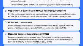 Как переоформить земельный участок через МФЦ в Декатлон