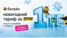 Как подключить безлимитный интернет Билайн бесплатно в Декатлон