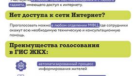 Как проголосовать через Госуслуги: пошаговая инструкция в Декатлон