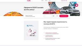 Как проверить подлинность полиса ОСАГО онлайн в Декатлон