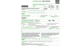 Как проверить полис ОСАГО на подлинность в Декатлон