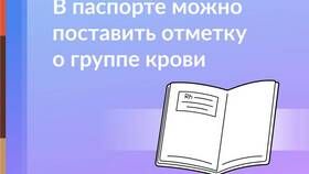 Как узнать группу крови через Госуслуги в Декатлон