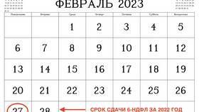 Как заполнить справку 2-НДФЛ за год в Декатлон
