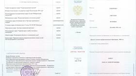 Образование: что писать в заявлении в Декатлон