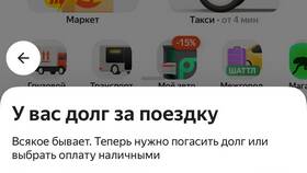 Платное ожидание в Яндекс Еде в Декатлон