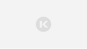 Реквизиты свидетельства ИП: что это в Декатлон