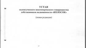СНТ как юридическое лицо: особенности и правовой статус в Декатлон