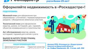 Упраздненный СНИЛС: что это означает в Декатлон