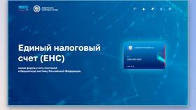 Заявление на возврат переплаты по ЕНС: что это в Декатлон