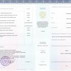 Образование: что писать в заявлении