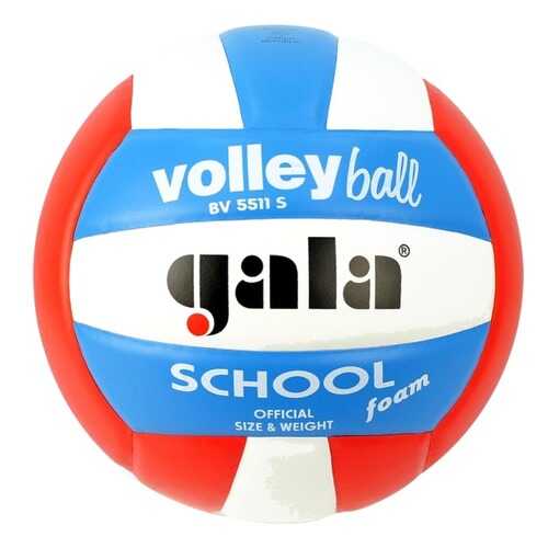 Волейбольный мяч Gala School Foam Colour №5 blue/white/red в Декатлон