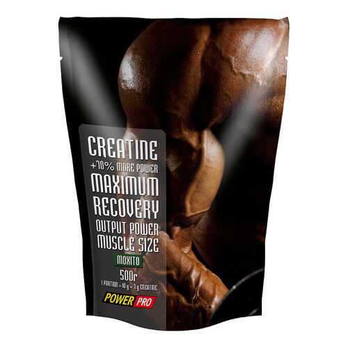 PowerPro Creatine Maximum Recovery 500 г мохито в Декатлон