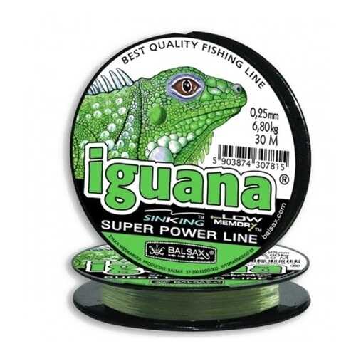 Леска монофильная Iguana, 0,08 мм, 30 м, 0,95 кг в Декатлон