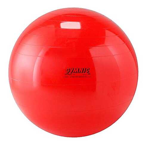 Мяч 85см Body boll с BRQ 90.85 Orto в Декатлон